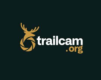 Logo design for a internet company by LogoArena professional logo designers. Submitted for trailcam.org logo contest by aksa, entry number 96