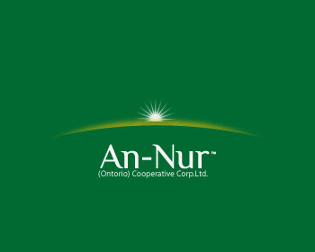Logo design for a finance company by LogoArena professional logo designers. Submitted for An-Nur logo contest by Immo0, entry number 38