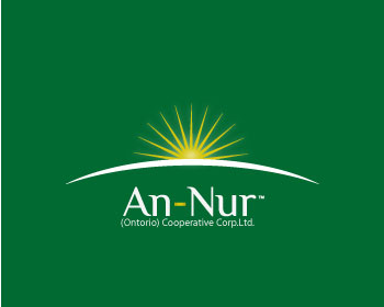 Logo design for a finance company by LogoArena professional logo designers. Submitted for An-Nur logo contest by Immo0, entry number 39
