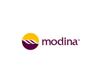 Logo design for a finance company by LogoArena professional logo designers. Submitted for Modina LLP logo contest by Immo0, entry number 85