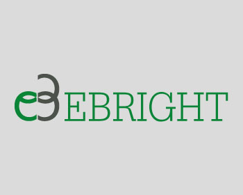 Logo design for a manufacturing company by LogoArena professional logo designers. Submitted for Ebright logo contest by HASINCE1987, entry number 71