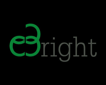 Logo design for a manufacturing company by LogoArena professional logo designers. Submitted for Ebright logo contest by HASINCE1987, entry number 72