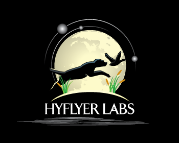Logo design by osgraphic