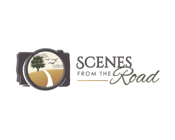 Logo design for a home company by LogoArena professional logo designers. Submitted for Scenes From The Road logo contest by novaera, entry number 65