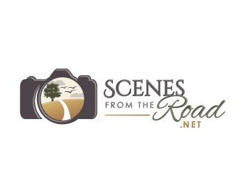 Logo design for a home company by LogoArena professional logo designers. Submitted for Scenes From The Road logo contest by novaera, entry number 67