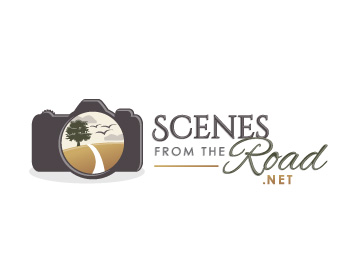 Logo design for a home company by LogoArena professional logo designers. Submitted for Scenes From The Road logo contest by novaera, entry number 69