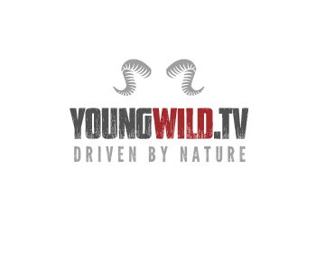 Logo design by FernandoBM